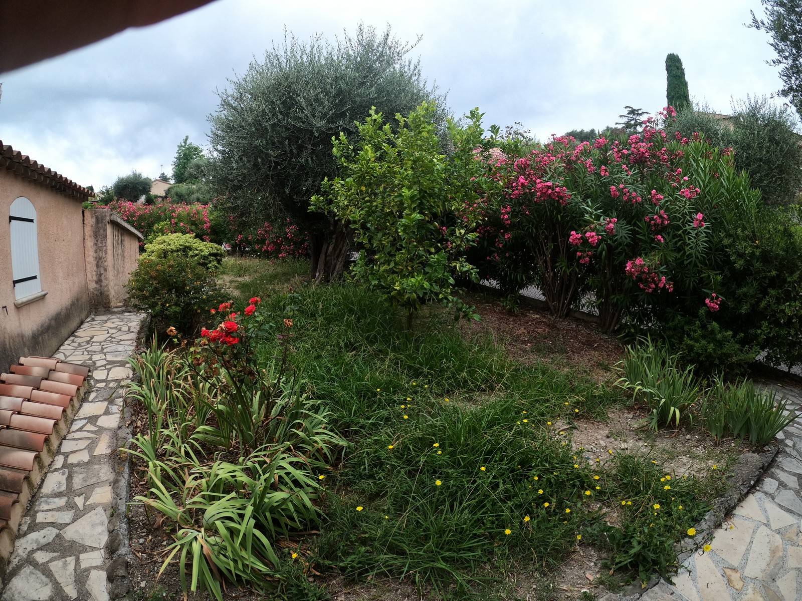 Installation de 300m² de pelouse synthétique en contour de villa dans un jardin arboré à Biot, Alpes Maritimes
