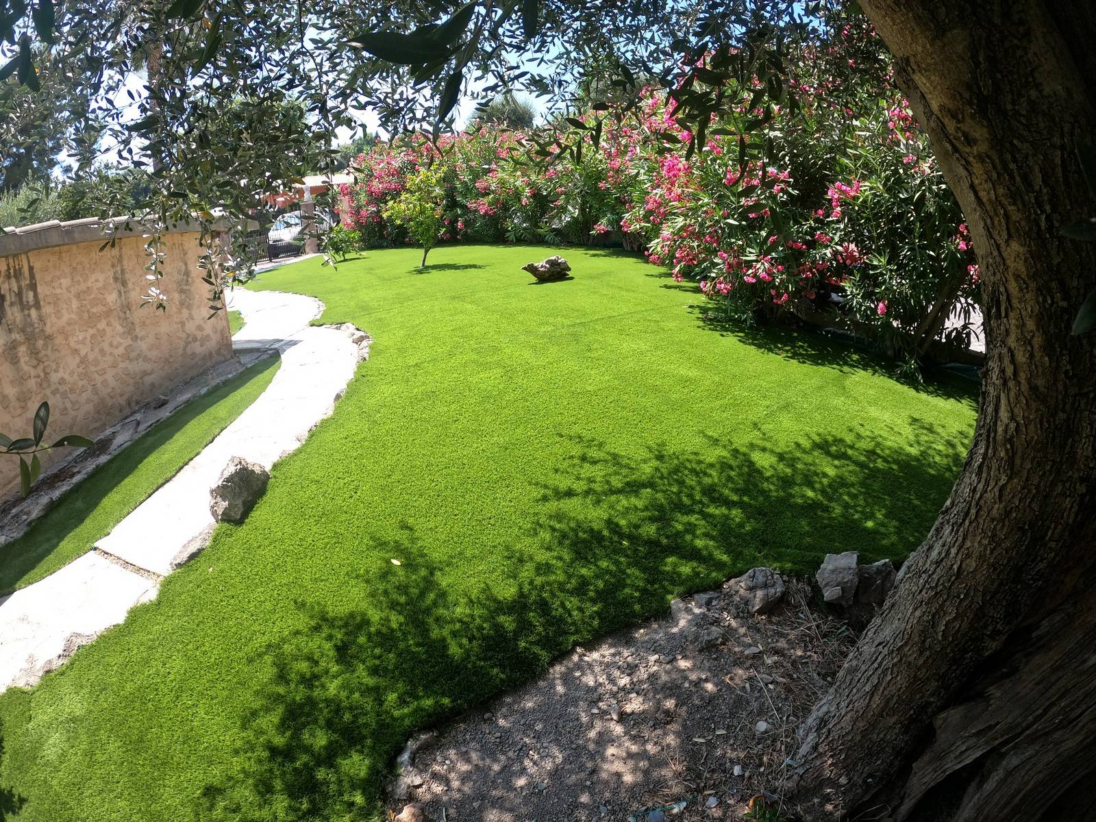 Installation de 300m² de pelouse synthétique en contour de villa dans un jardin arboré à Biot, Alpes Maritimes