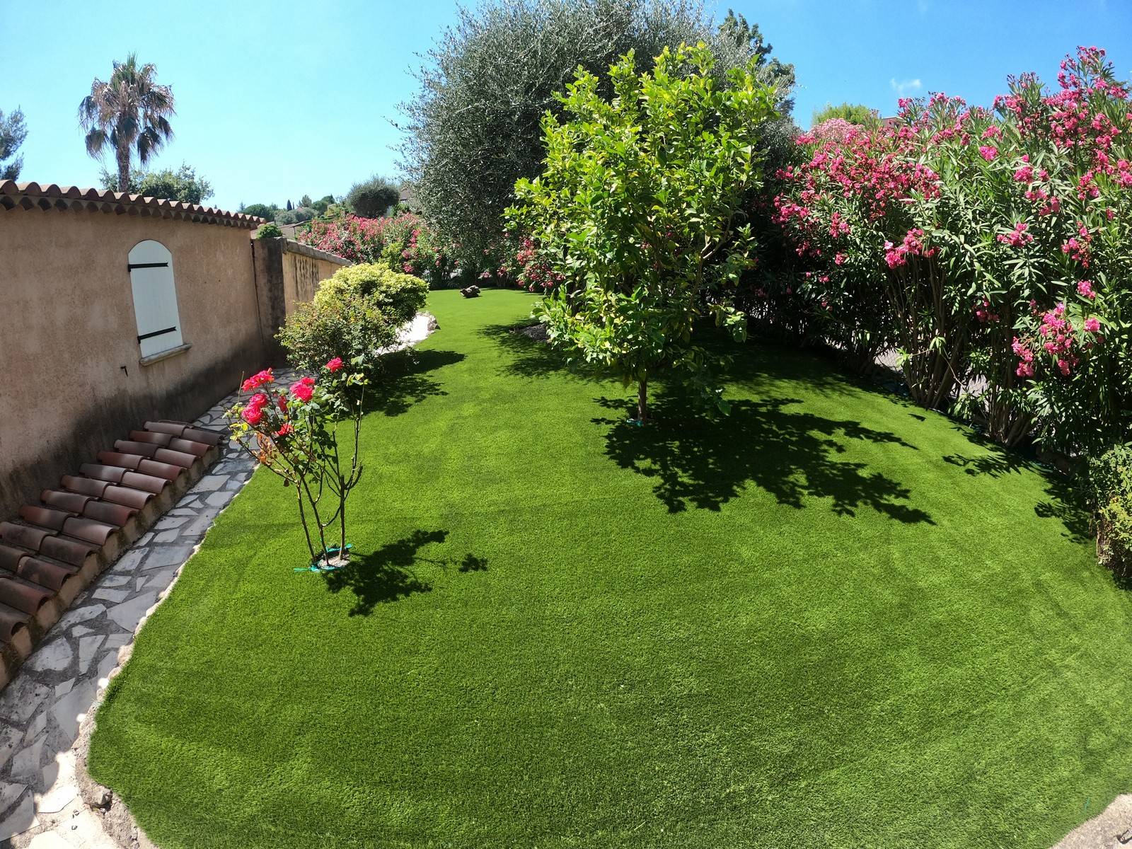 Installation de 300m² de pelouse synthétique en contour de villa dans un jardin arboré à Biot, Alpes Maritimes