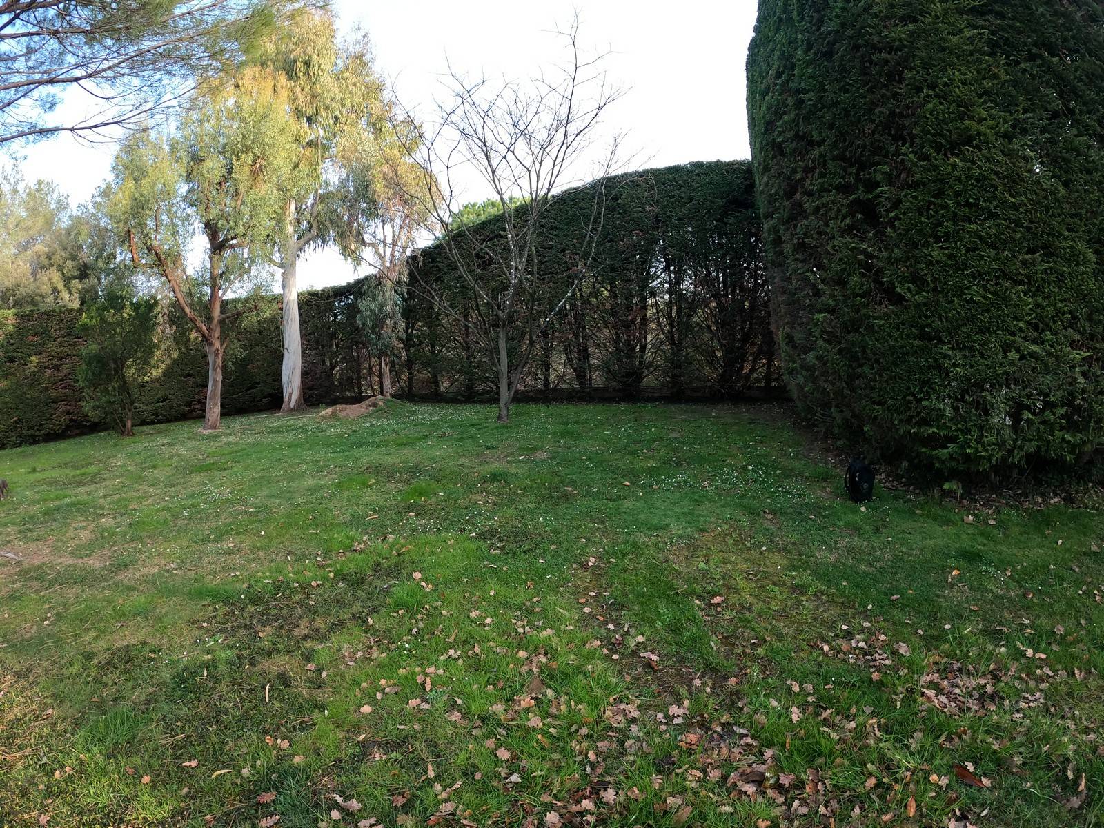 Création d'un putting green en synthétique et d'un bunker au Rouret à côté de Grasse (06)