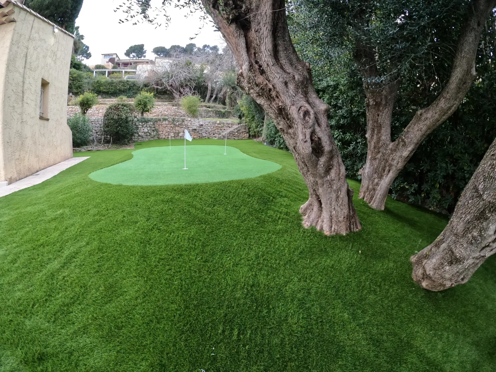Vue en perspective du gazon 35 mm et du putting green, les oliviers en premier plan soulignent la cohérence de l'ensemble.