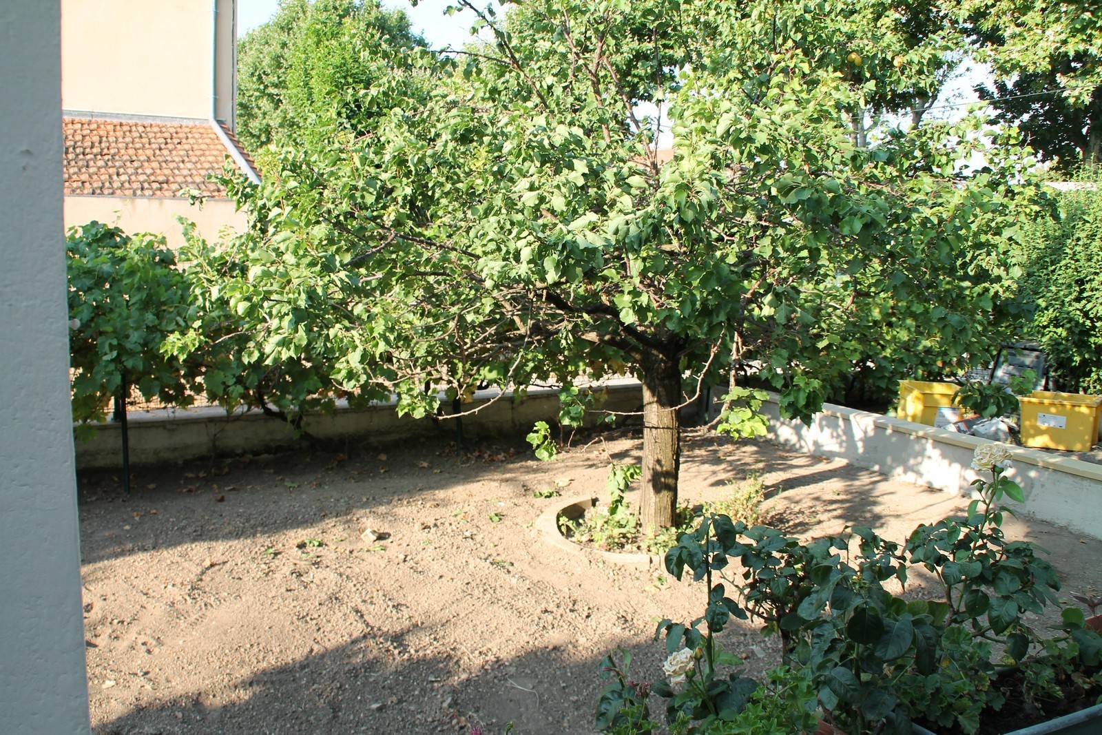 Pose de notre gazon synthétique Prestige 40mm autour d'un arbre au cœur d'une villa à Aix en Provence