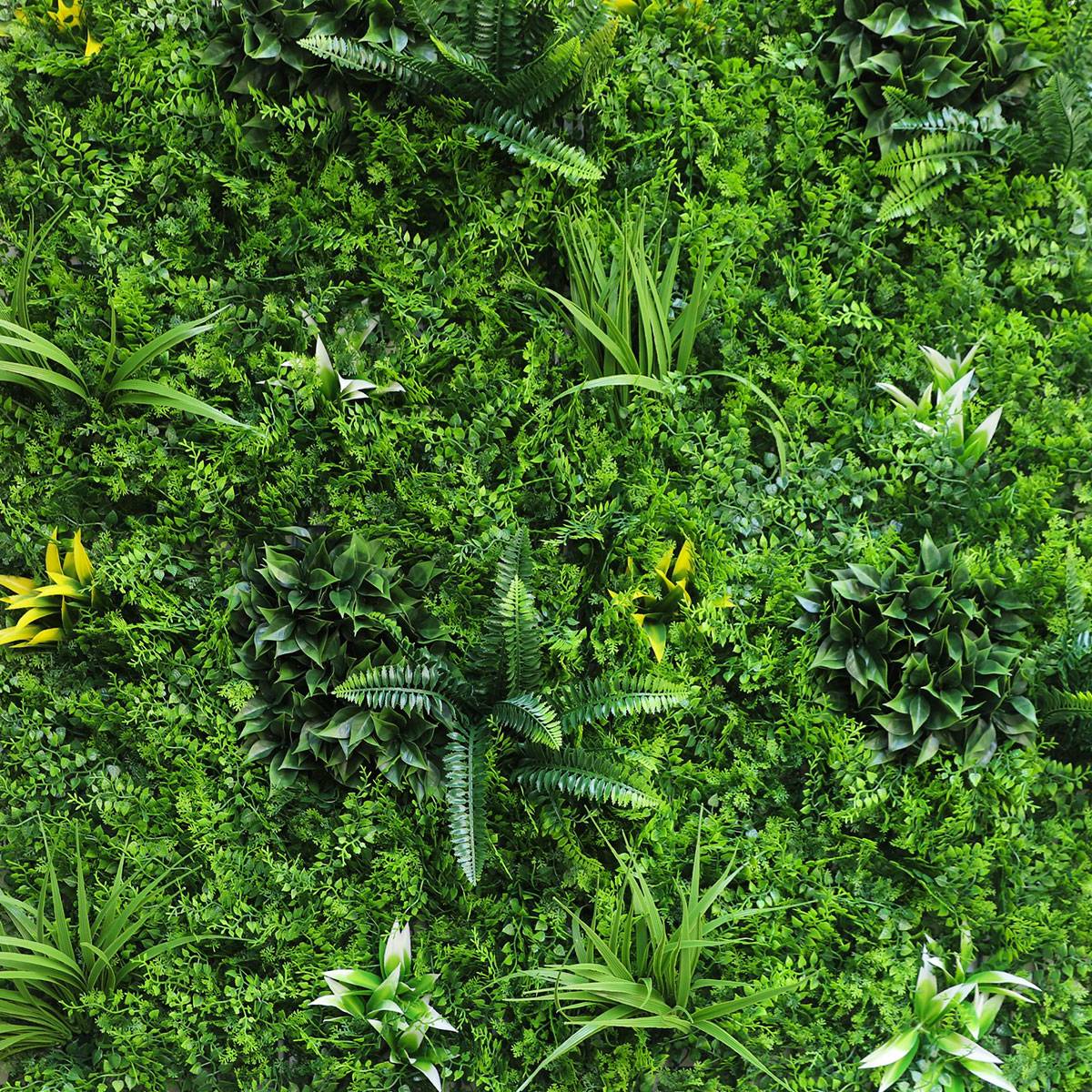 Haie artificielle qualité supérieure près de Cannes