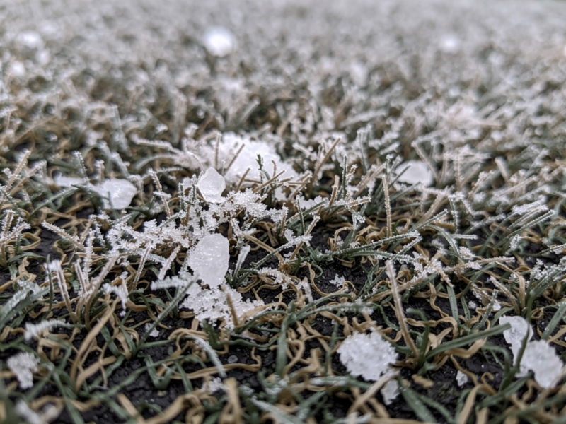 Pas de sel sur du gazon synthétique