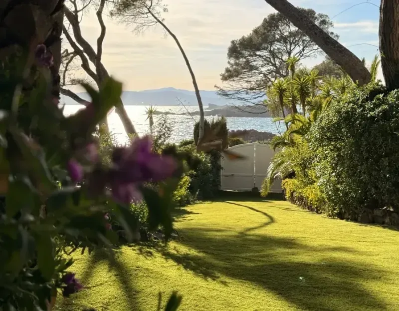 Gazon synthétique haut de gamme entre la villa et les pins à Saint-Raphaël