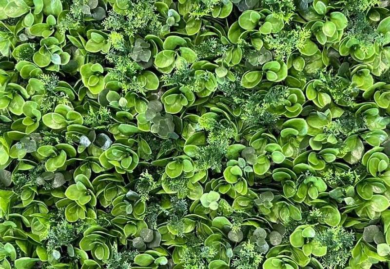 Haie synthétique artificielle FICUS Alpes Maritimes