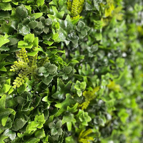 Fausse haie végétale lierre de qualité à Fréjus et Grasse