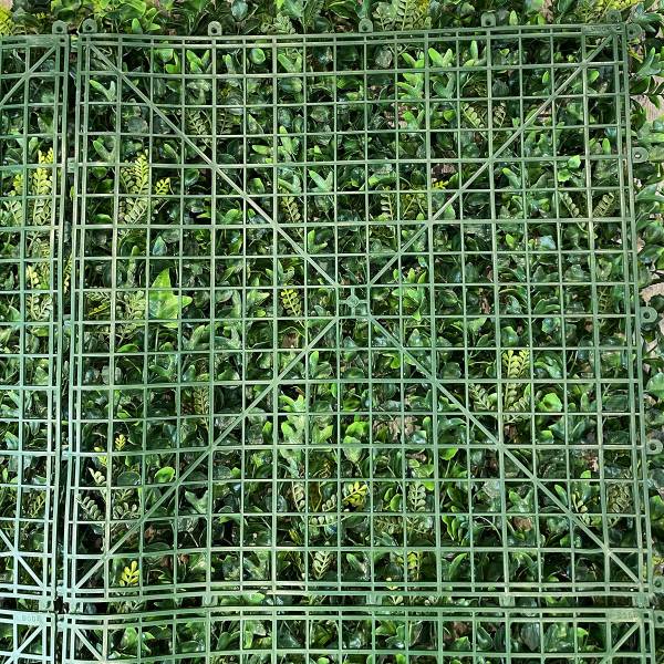 Fausse haie végétale lierre de qualité à Fréjus et Grasse