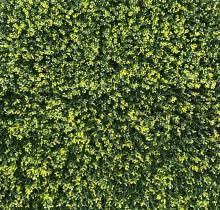 Nos prestations sur le secteur de Cannes 06 proche de Mandelieu-la-Napoule