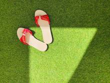 Nos prestations sur le secteur de Monaco