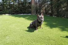 Nos prestations sur le secteur de Monaco