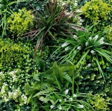 Nos prestations sur le secteur de Saint-Laurent-du-Var