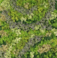 Nos prestations sur le secteur de Cannes 06 proche de Mandelieu-la-Napoule