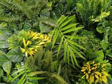 Notre zone d'activité pour ce service Échantillon gratuit de gazon synthétique