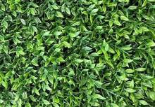 Notre zone d'activité pour ce service Vente de pelouse synthétique pas cher