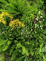 Nos prestations sur le secteur de Cannes 06 proche de Mandelieu-la-Napoule